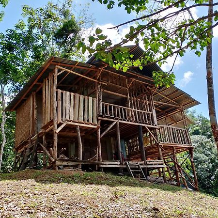 Orangutantreksumatra & Lovely Jungle Lodge Only Book If You Are Treking With Us Bukit Lawang Ngoại thất bức ảnh