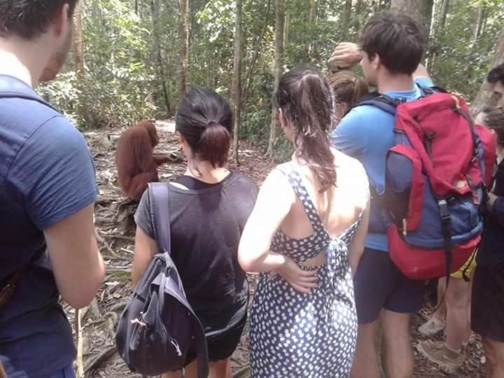Orangutantreksumatra & Lovely Jungle Lodge Only Book If You Are Treking With Us Bukit Lawang Ngoại thất bức ảnh