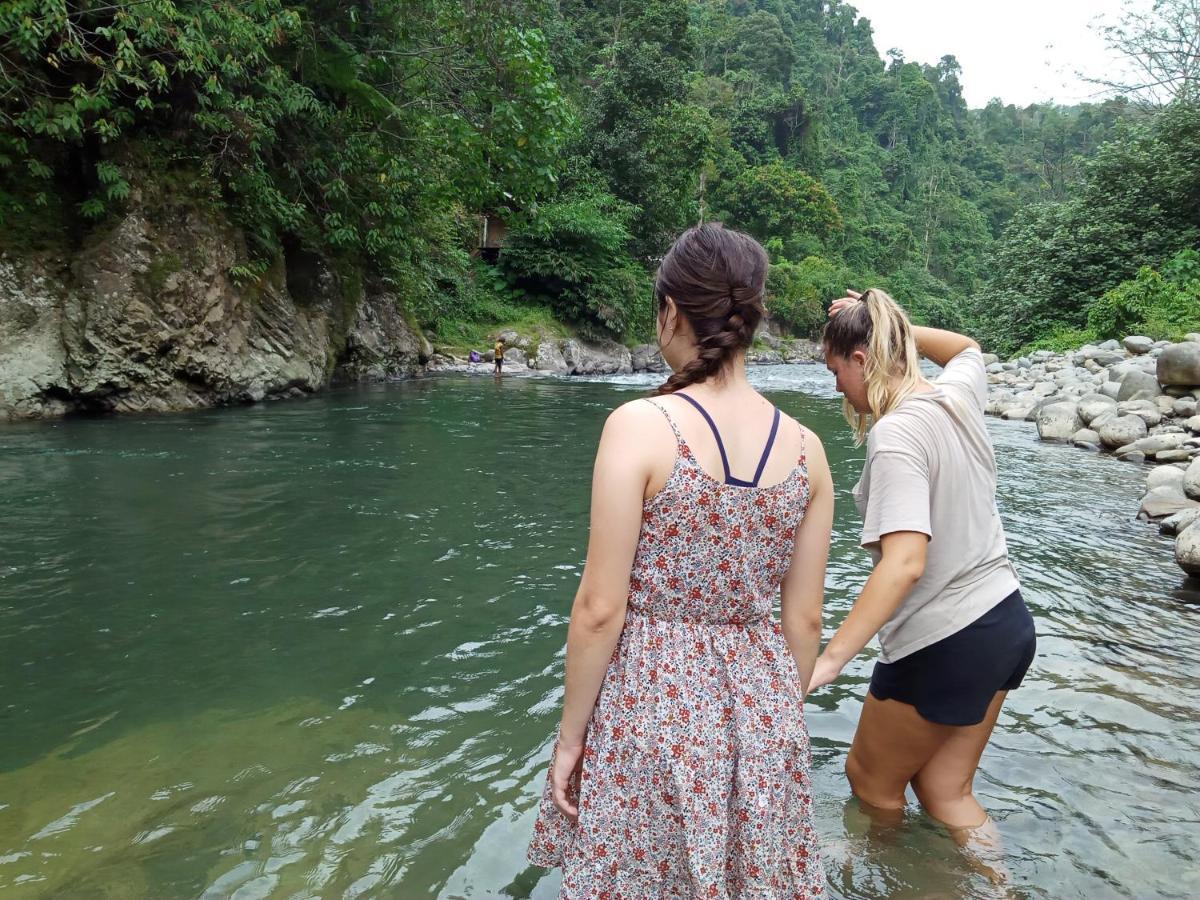 Orangutantreksumatra & Lovely Jungle Lodge Only Book If You Are Treking With Us Bukit Lawang Ngoại thất bức ảnh