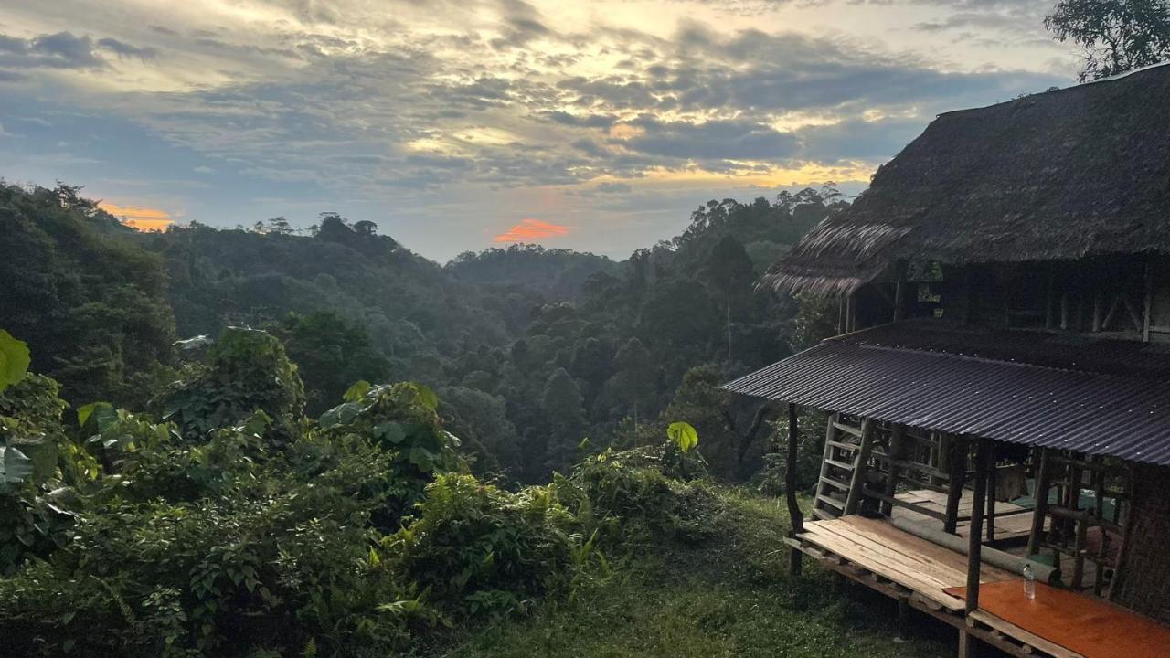 Orangutantreksumatra & Lovely Jungle Lodge Only Book If You Are Treking With Us Bukit Lawang Ngoại thất bức ảnh