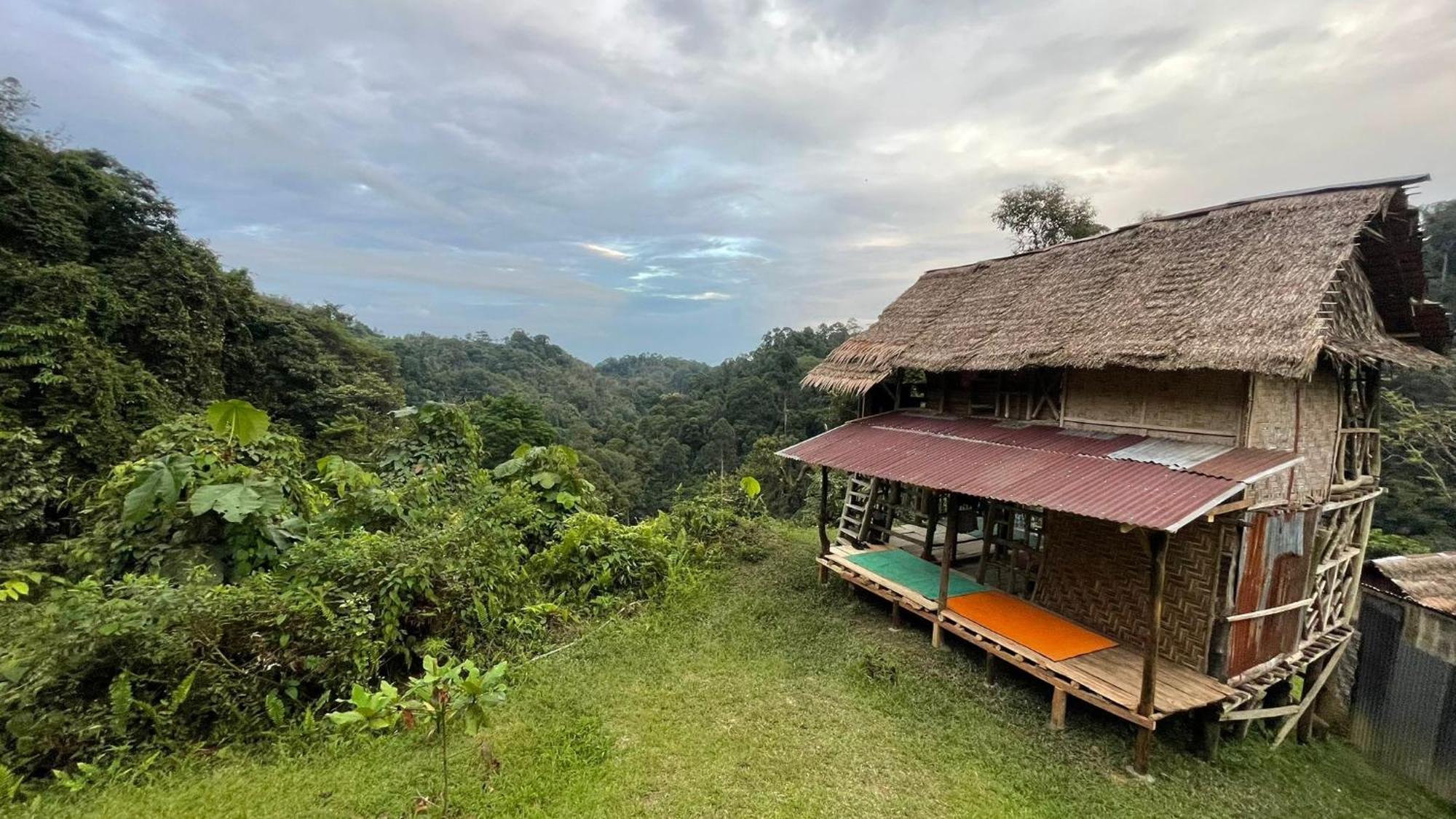 Orangutantreksumatra & Lovely Jungle Lodge Only Book If You Are Treking With Us Bukit Lawang Phòng bức ảnh
