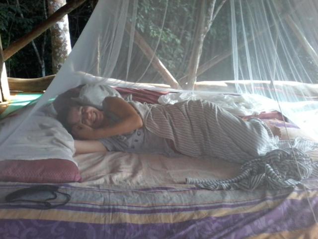 Orangutantreksumatra & Lovely Jungle Lodge Only Book If You Are Treking With Us Bukit Lawang Phòng bức ảnh
