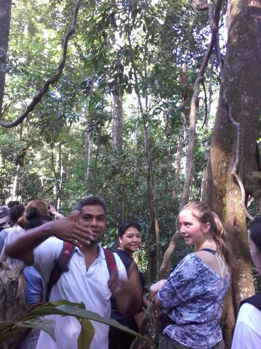 Orangutantreksumatra & Lovely Jungle Lodge Only Book If You Are Treking With Us Bukit Lawang Phòng bức ảnh
