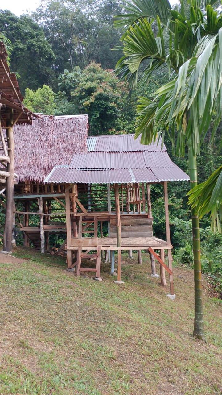 Orangutantreksumatra & Lovely Jungle Lodge Only Book If You Are Treking With Us Bukit Lawang Ngoại thất bức ảnh