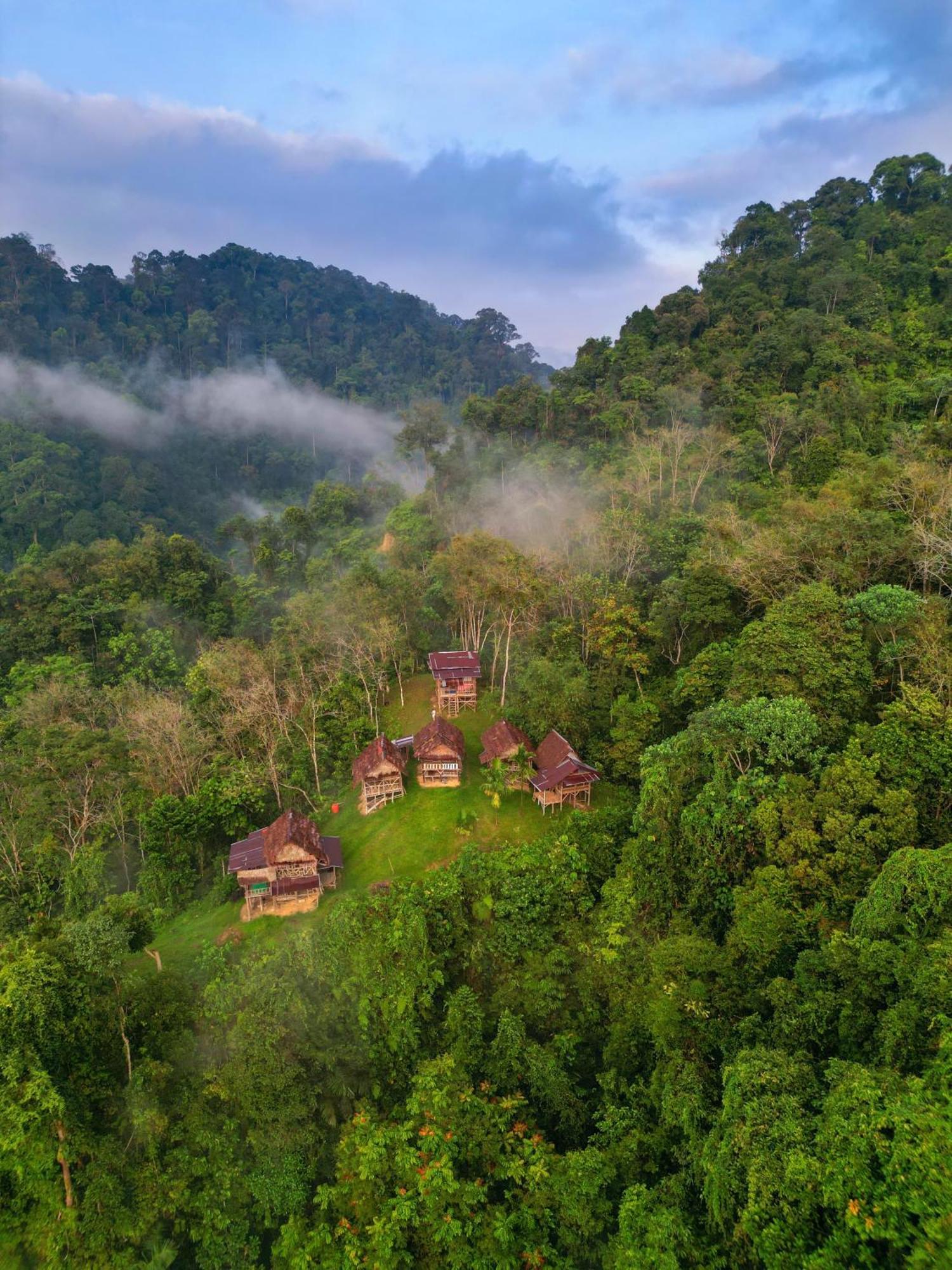 Orangutantreksumatra & Lovely Jungle Lodge Only Book If You Are Treking With Us Bukit Lawang Ngoại thất bức ảnh
