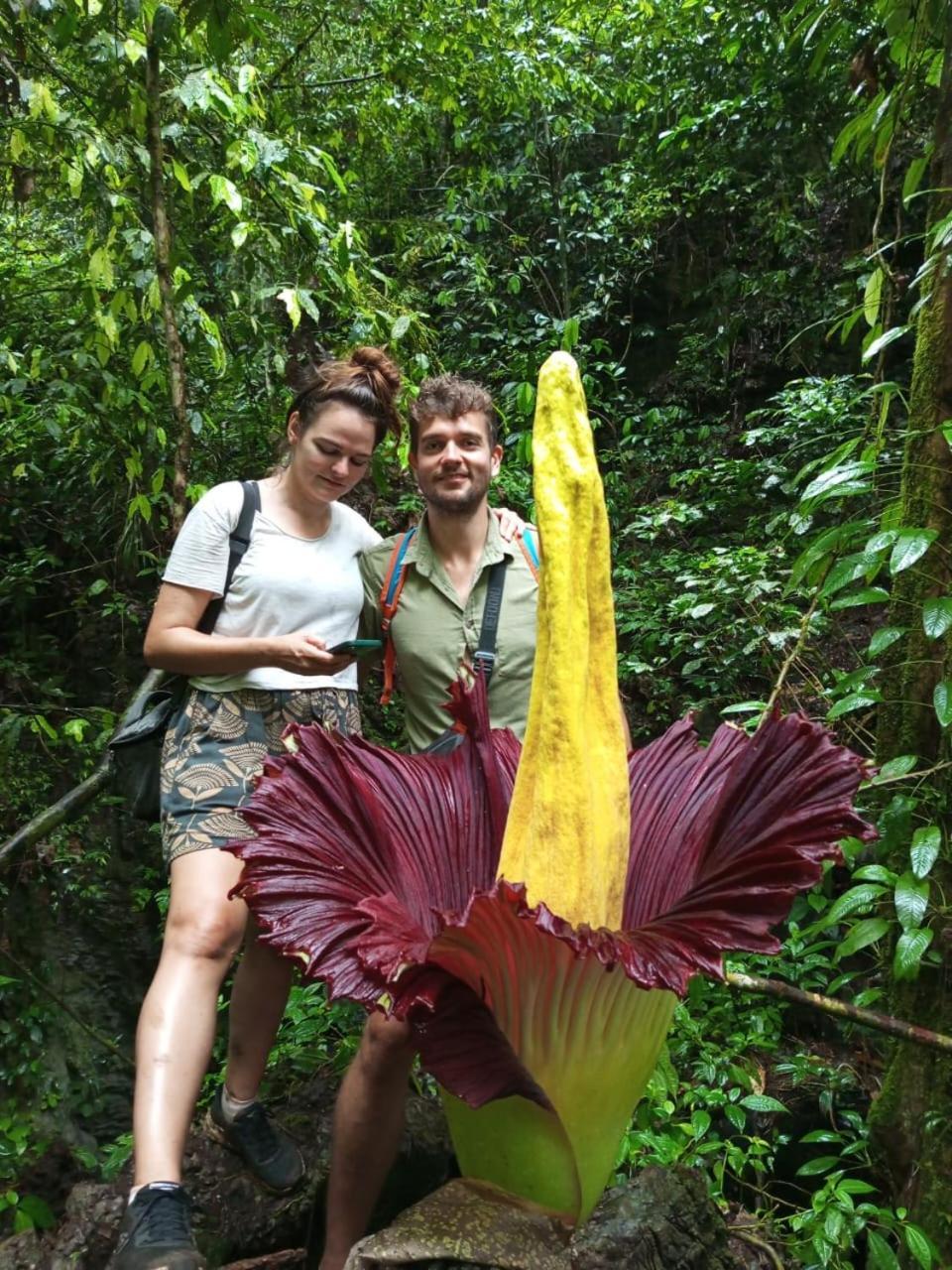 Orangutantreksumatra & Lovely Jungle Lodge Only Book If You Are Treking With Us Bukit Lawang Ngoại thất bức ảnh
