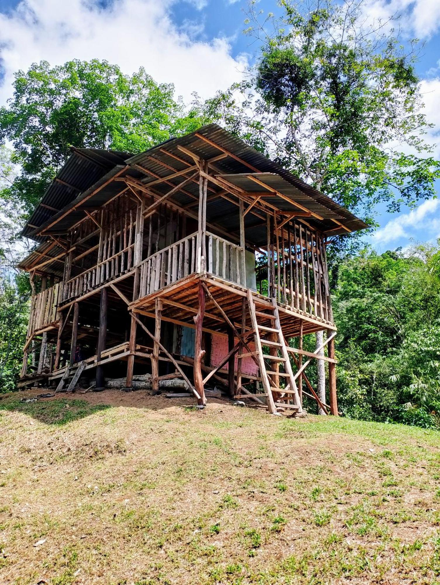 Orangutantreksumatra & Lovely Jungle Lodge Only Book If You Are Treking With Us Bukit Lawang Ngoại thất bức ảnh