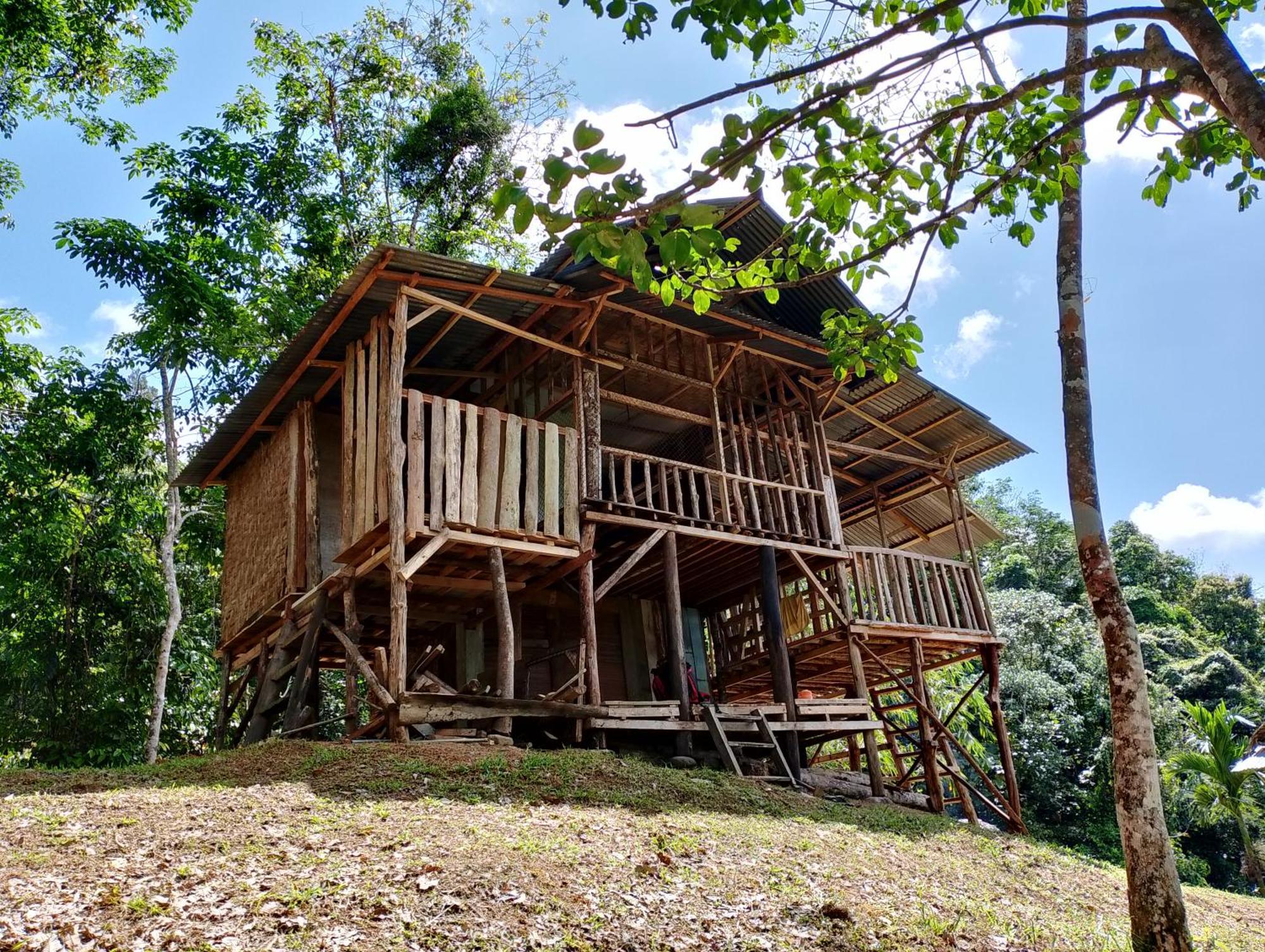 Orangutantreksumatra & Lovely Jungle Lodge Only Book If You Are Treking With Us Bukit Lawang Ngoại thất bức ảnh